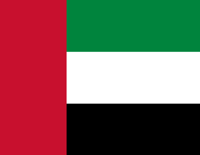 Dubai flag